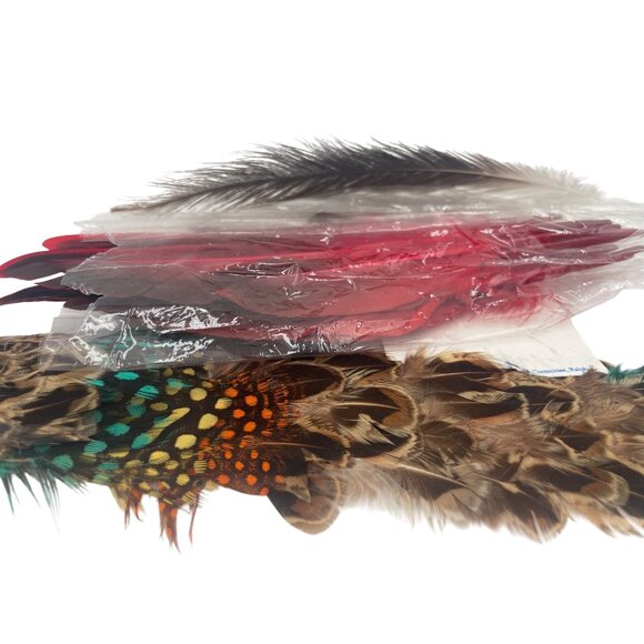 Mixed Craft Feathers For DIY Projects - Assorted Colors & Textures - Picture 1 of 6